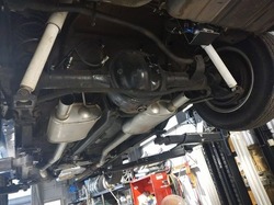DSC_0564.jpg