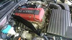 DSC_0608.jpg