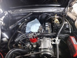 DSC_1635.jpg