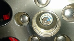 DSC_2499.jpg