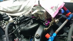 DSC_2989.jpg