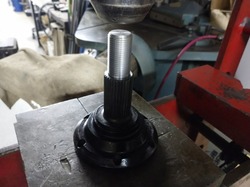 DSC_3279.jpg