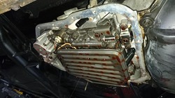 DSC_3383.jpg