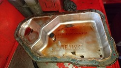 DSC_3384.jpg