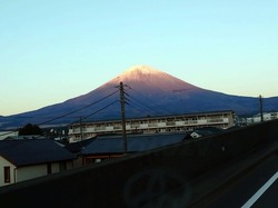 DSC_6158.jpg
