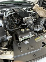image1.jpg